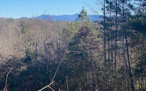 Brasstown Acres, Brasstown NC, 28902 land for sale