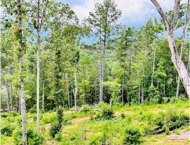 242 High River Xing, Ellijay, GA 30540