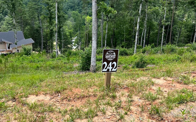 242 High River Xing, Ellijay, GA 30540