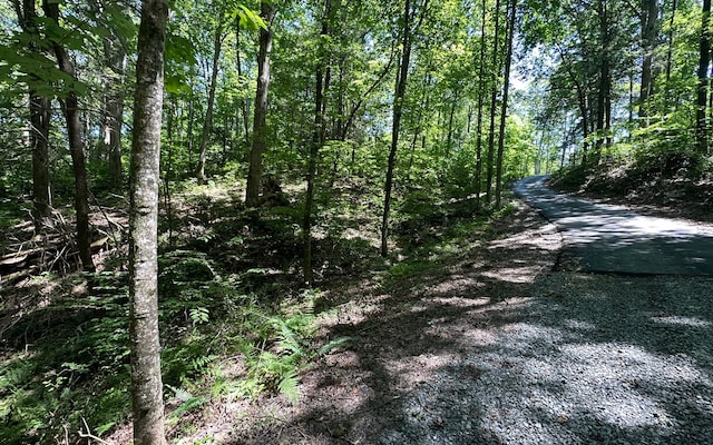 LT2 Highlands Pass, Blue Ridge GA, 30513 land for sale