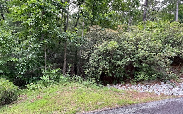 Listing photo 2 for LT11 Lancelot Loop, Clayton GA 30525