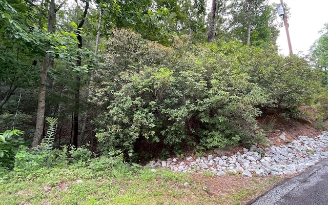 Listing photo 3 for LT11 Lancelot Loop, Clayton GA 30525