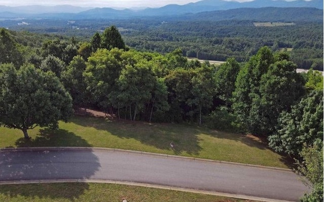 Listing photo 3 for 34 The Smt, Blairsville GA 30512