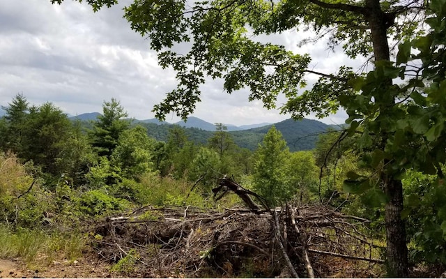 Listing photo 2 for LOT4 Old Dyer Dr, Hayesville NC 28904