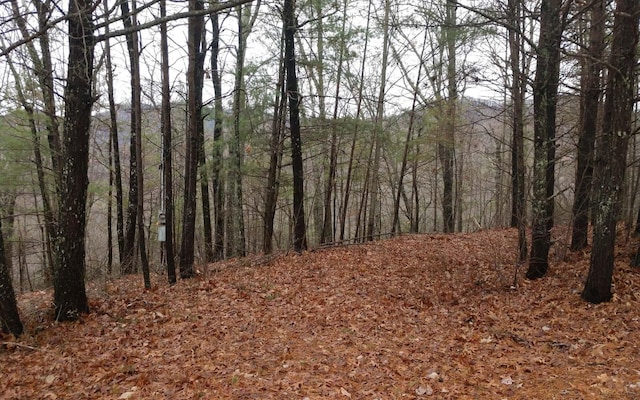 LT18 Amy Creek Cir, Ellijay GA, 30540 land for sale