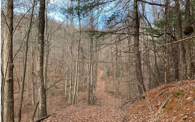 0 Paramount Trl, Ellijay GA, 30536 land for sale