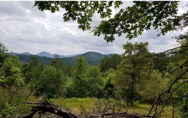 LOT4 Old Dyer Dr, Hayesville NC, 28904 land for sale