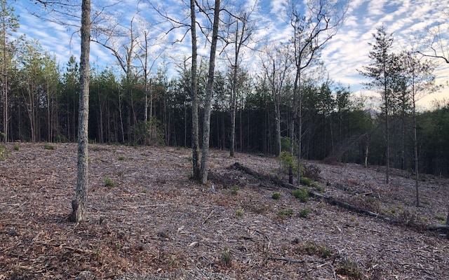 LOT51 Double Spgs, Blairsville GA, 30512 land for sale