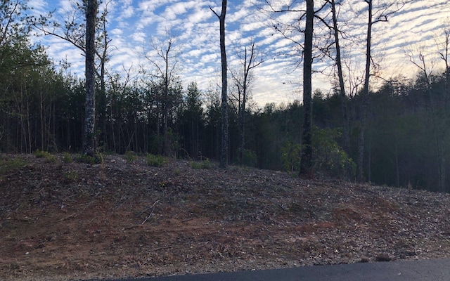 Listing photo 2 for LOT51 Double Spgs, Blairsville GA 30512