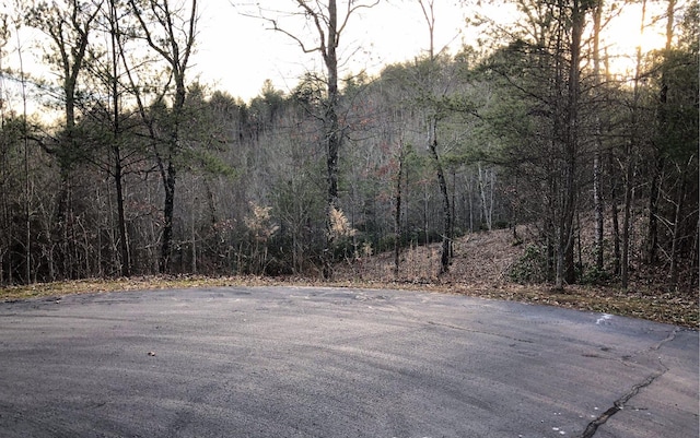 Listing photo 3 for LOT51 Double Spgs, Blairsville GA 30512