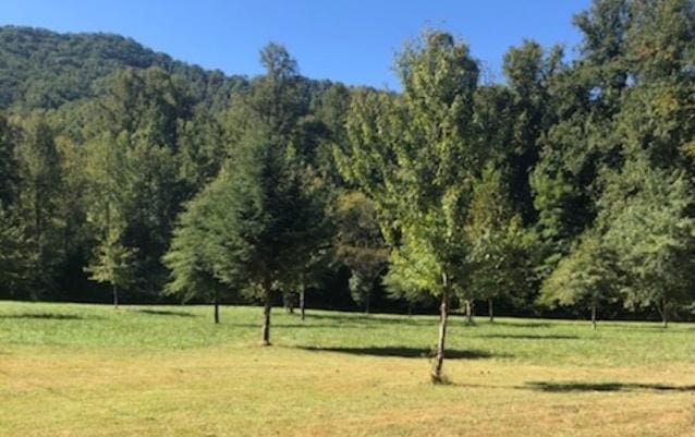 11509 Highway 64 E, Hayesville NC, 28904 land for sale