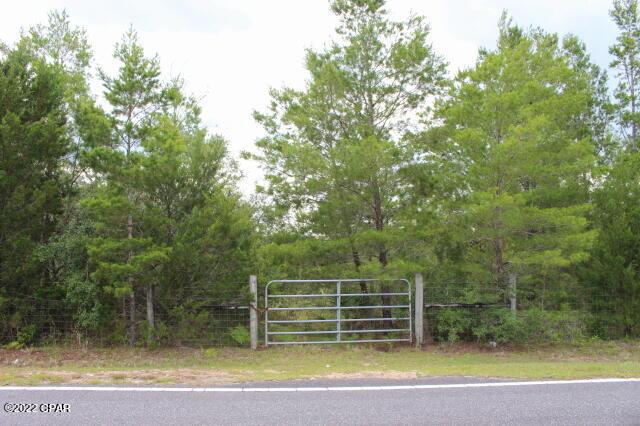 Listing photo 2 for 0 NW Lake Mckenzie Blvd, Altha FL 32421