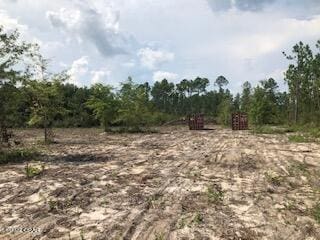 22563 NW Lake Mckenzie Blvd, Altha FL, 32421 land for sale