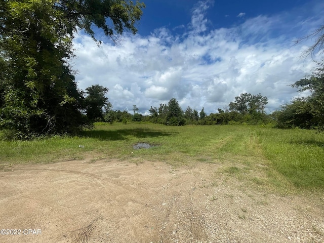 0 Carters Mill Rd, Marianna FL, 32446 land for sale