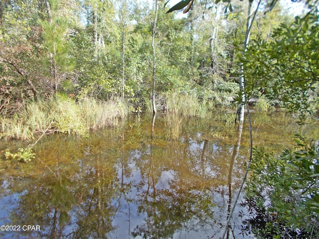 00 Perry Rd, Cottondale FL, 32431 land for sale