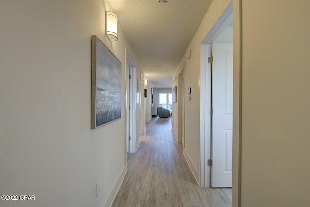 hallway featuring light hardwood / wood-style flooring