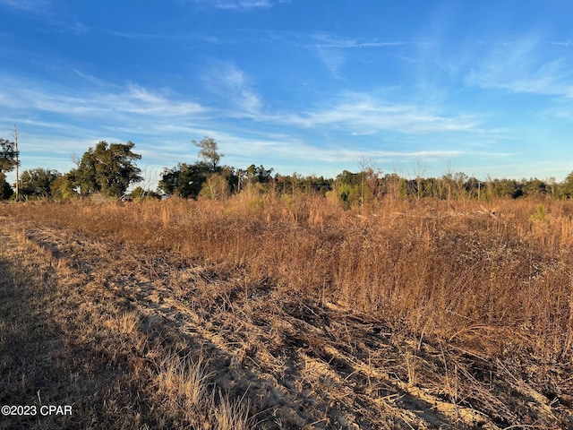 00 Wintergreen Rd, Bascom, FL 32423