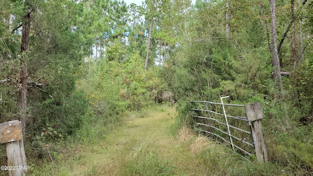 00 Buttercup Ln, Marianna FL, 32446 land for sale