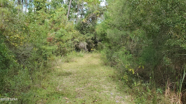 Listing photo 2 for 00 Buttercup Ln, Marianna FL 32446