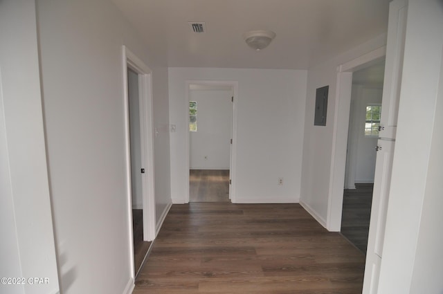 hall featuring dark hardwood / wood-style floors