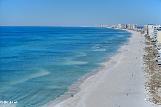 property view of water with a beach view