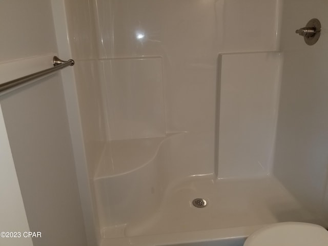 bathroom with a shower and toilet