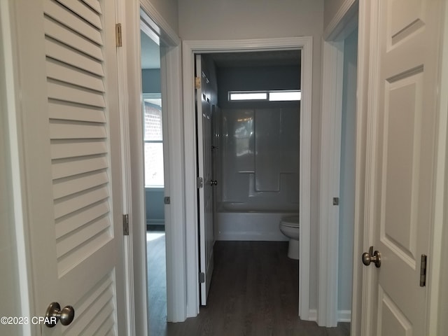 hall featuring dark wood-type flooring