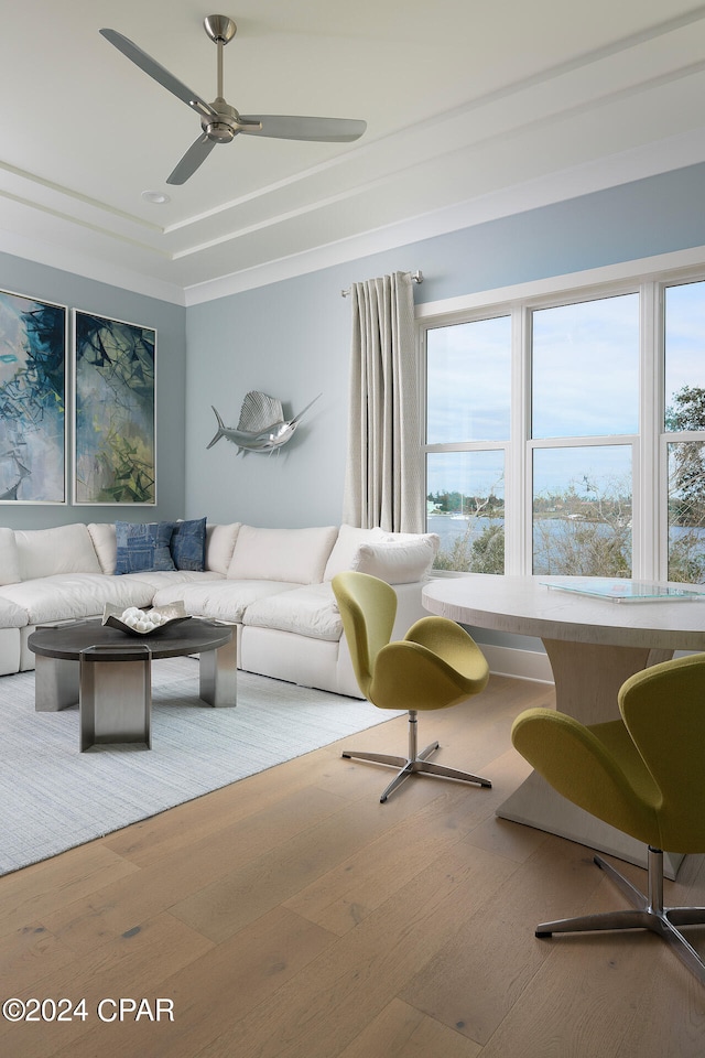 living room with a raised ceiling, ceiling fan, and light wood-type flooring