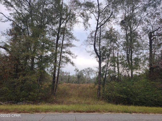 00 Pioneer Rd, Chipley FL, 32428 land for sale