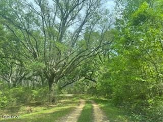 LOT54 Alder Rd, Reedy Creek Crossing, Westville FL, 32464 land for sale