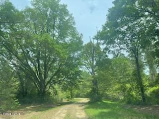 Listing photo 2 for LOT54 Alder Rd, Reedy Creek Crossing, Westville FL 32464