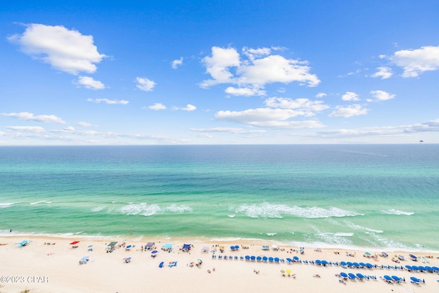 water view featuring a beach view