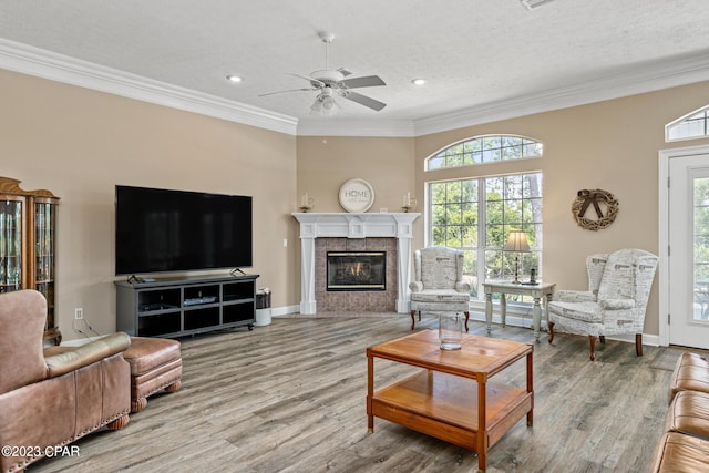 living area featuring wood finished floors, plenty of natural light, and ornamental molding