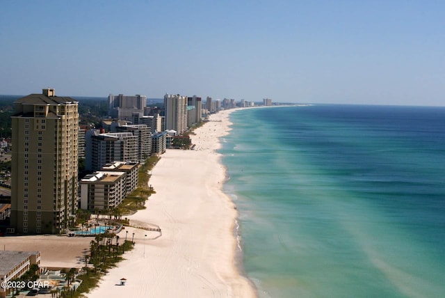 view of water feature featuring a beach view