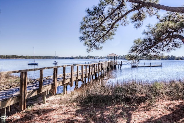 dock area with a water view