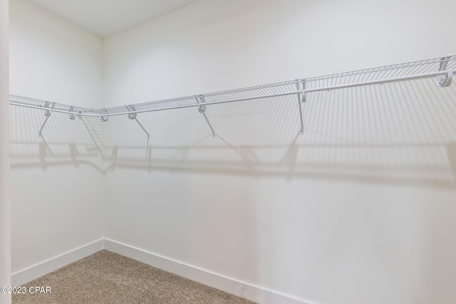 spacious closet with carpet floors