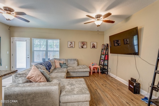 living room with ceiling fan and light wood-type flooring