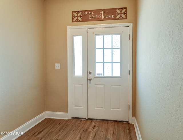 entryway featuring wood-type flooring