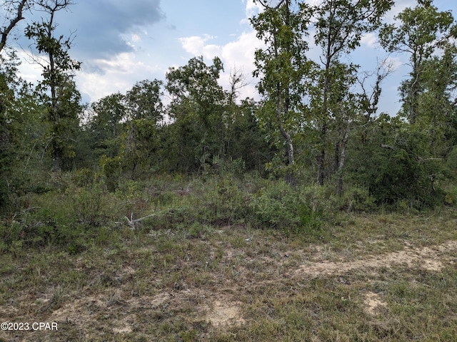 Listing photo 3 for 00 Crest Ln, Chipley FL 32428