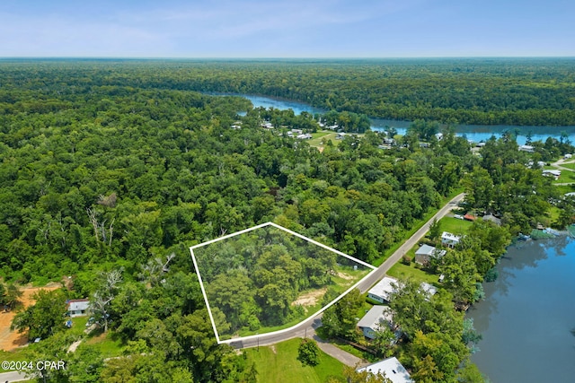 316 Byrd Parker Dr, Wewahitchka FL, 32465 land for sale