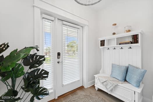 mudroom featuring hardwood / wood-style flooring