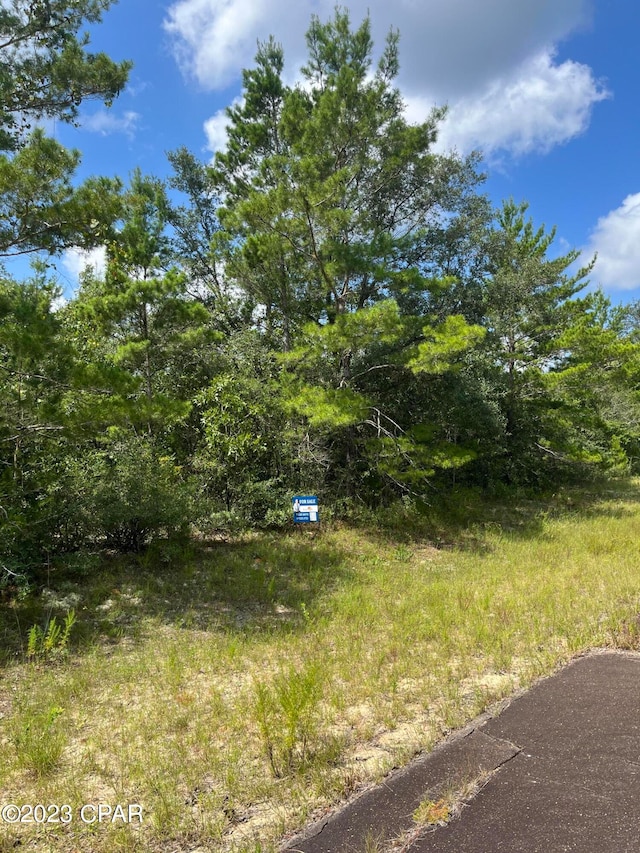 LOT15 Curry Pl, Chipley FL, 32428 land for sale