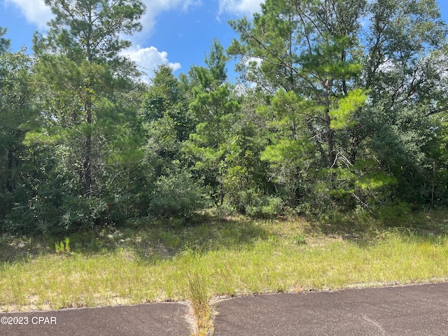 Listing photo 2 for LOT15 Curry Pl, Chipley FL 32428