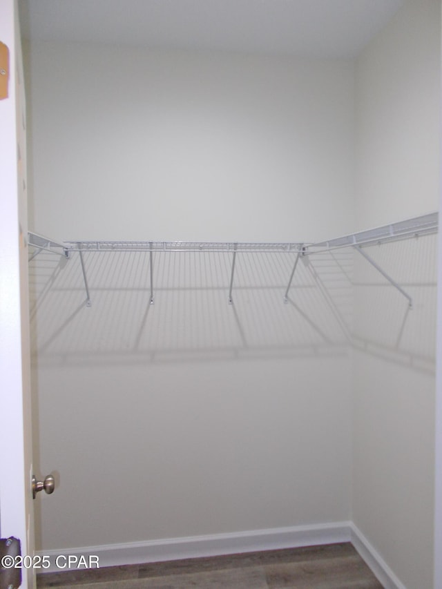 spacious closet with wood finished floors