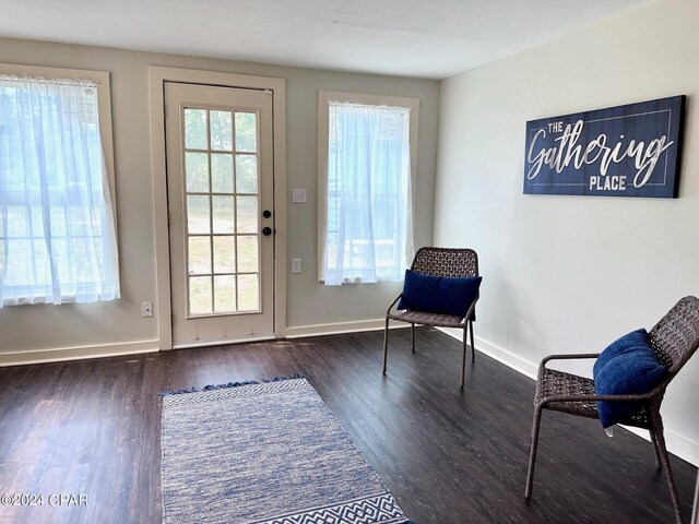 living area featuring dark wood-type flooring