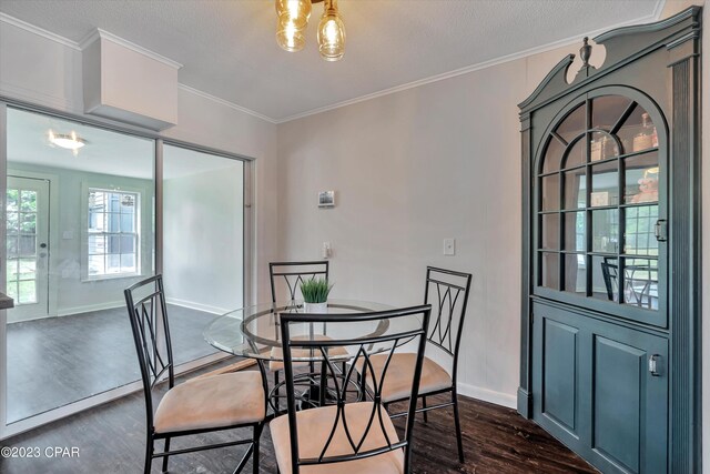 dining space featuring dark hardwood / wood-style floors, ornamental molding, and a textured ceiling