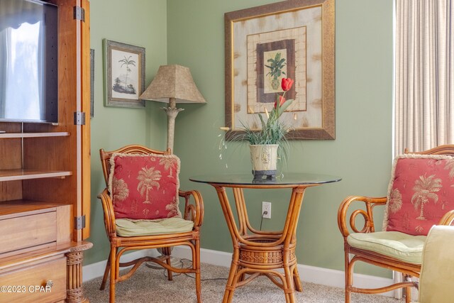 sitting room with carpet flooring