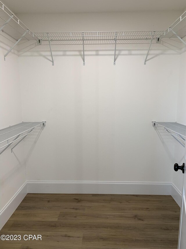 spacious closet featuring dark hardwood / wood-style flooring