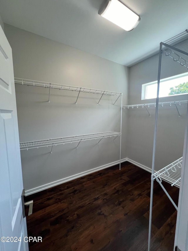 walk in closet featuring dark hardwood / wood-style flooring