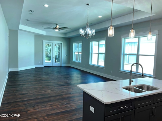 kitchen with a raised ceiling, dark hardwood / wood-style floors, and sink